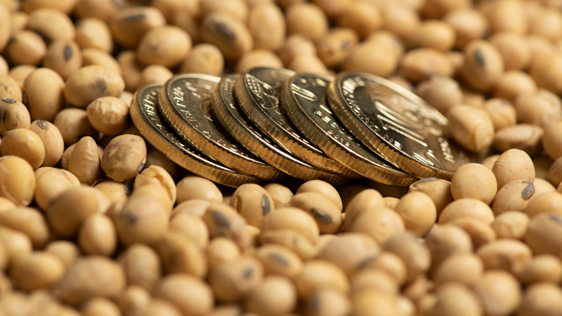 Produtores enfrentam a volatilidade das commodities com orientações de Aldo Vendramin.