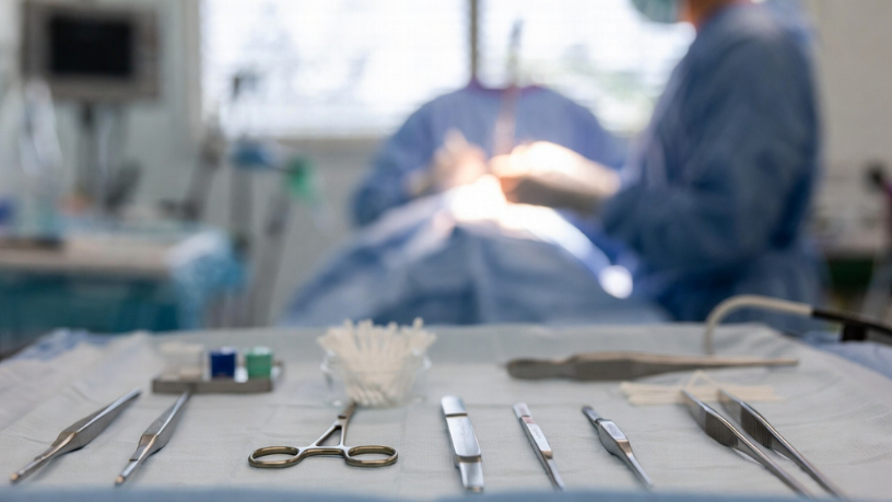 Haeckel Cabral Moraes