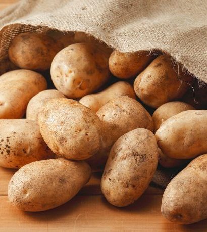 Dieta de batata e genética andina: como a alimentação moldou a evolução humana nos Andes