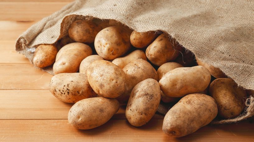 Dieta de batata e genética andina: como a alimentação moldou a evolução humana nos Andes